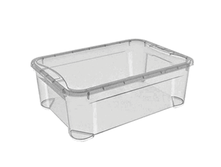 Контейнер для продуктов с крышкой 31 л, 56×39,5×19,5 см, прозрачный